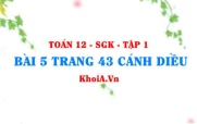 Bài 5 trang 43 Toán 12 tập 1 Cánh Diều